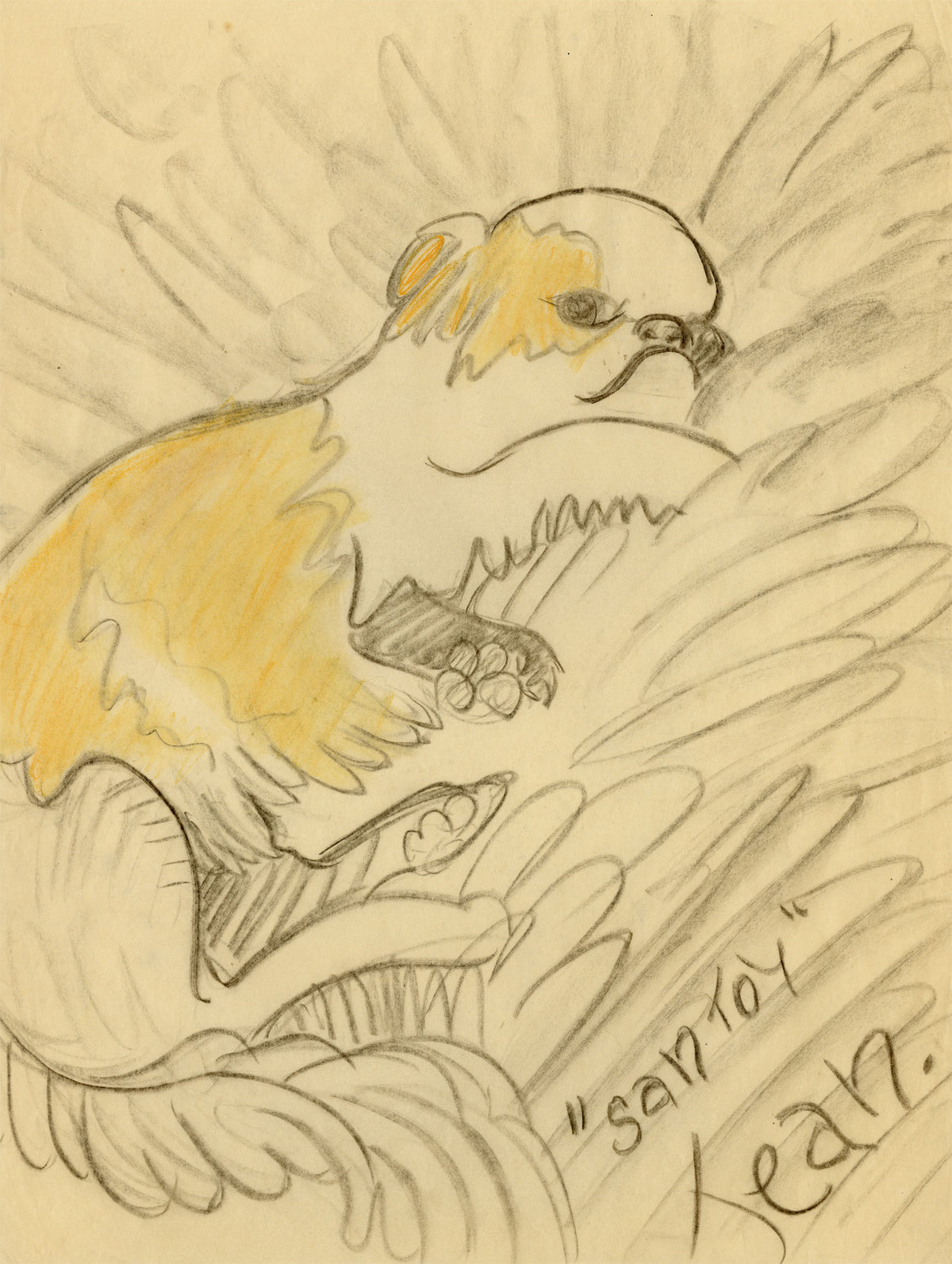 Jean Mary Ogilvie, Pekingese Dog 'Santoy' – 1930s pastel drawing