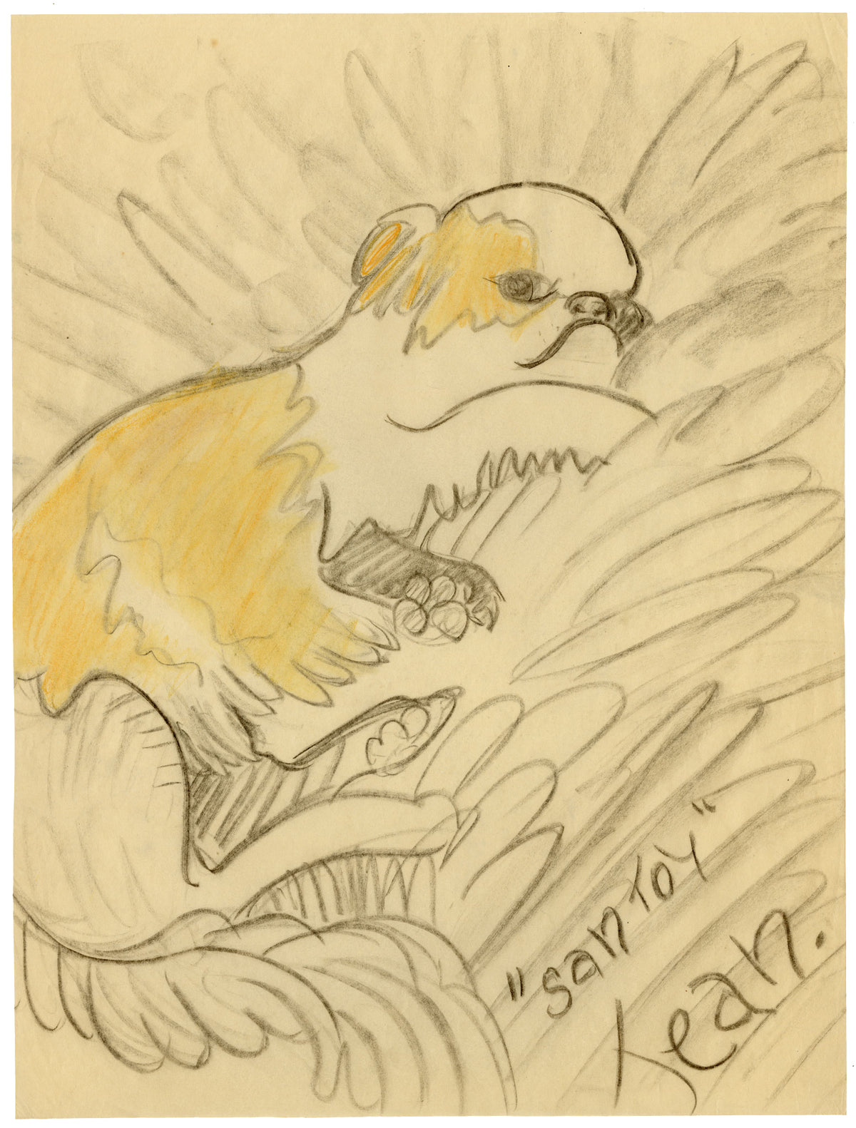 Jean Mary Ogilvie, Pekingese Dog 'Santoy' – 1930s pastel drawing