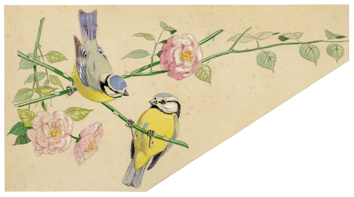 William Neave Parker, Blue Tit Pair on Rose Branch – c.1950 gouache painting
