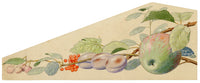 William Neave Parker, Fallen Fruits – c.1950 gouache painting