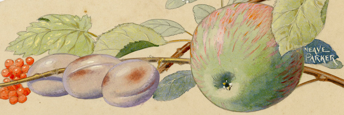 William Neave Parker, Fallen Fruits – c.1950 gouache painting