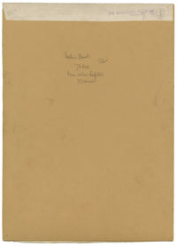 William Neave Parker, Pheasants Bird Illustration – c.1950 gouache painting