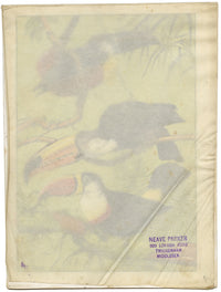 William Neave Parker, Toucan Birds Illustration – c.1950 gouache painting