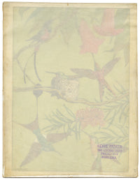 William Neave Parker, Hummingbirds Illustration – c.1950 gouache painting