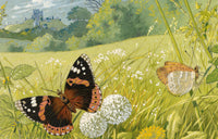 William Neave Parker, Butterflies in Summer Meadow – c.1950 gouache painting
