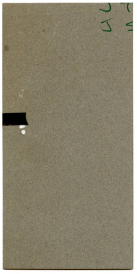 William Neave Parker, Treecreeper Bird with Honeysuckle – c.1950 gouache painting