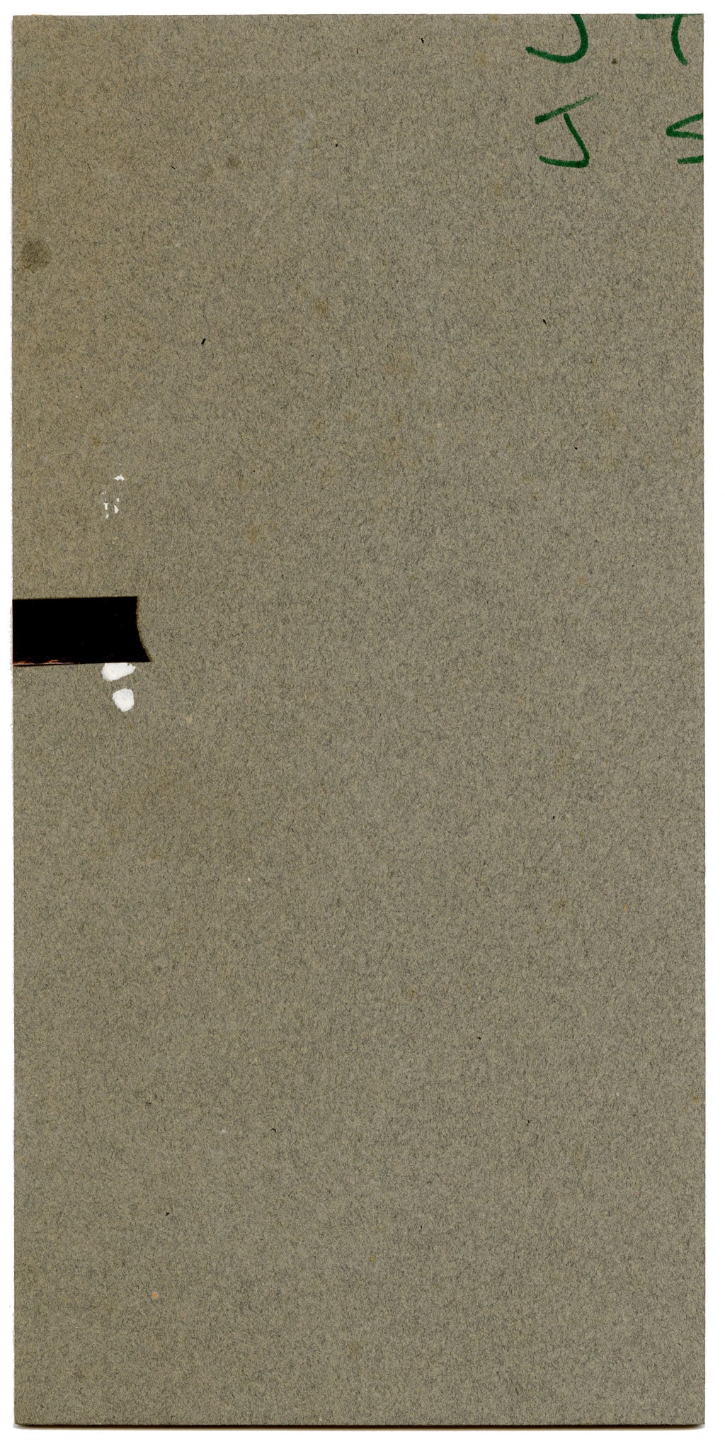 William Neave Parker, Treecreeper Bird with Honeysuckle – c.1950 gouache painting