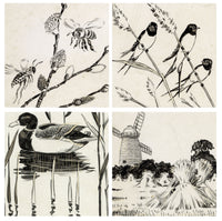 William Neave Parker, Set of 4 Springtime Nature Illustrations – c.1950 pen & ink drawing