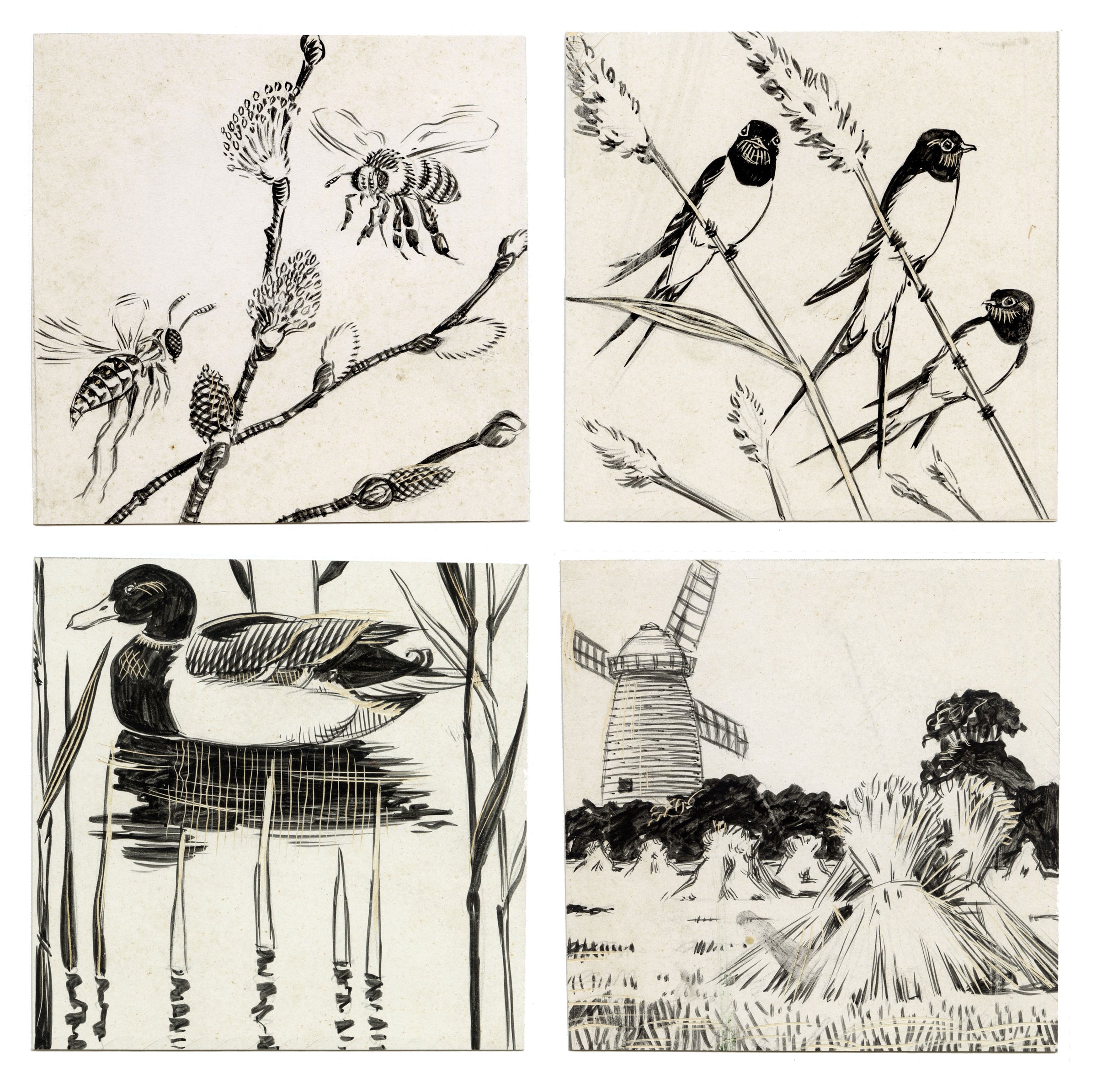 William Neave Parker, Set of 4 Springtime Nature Illustrations – c.1950 pen & ink drawing
