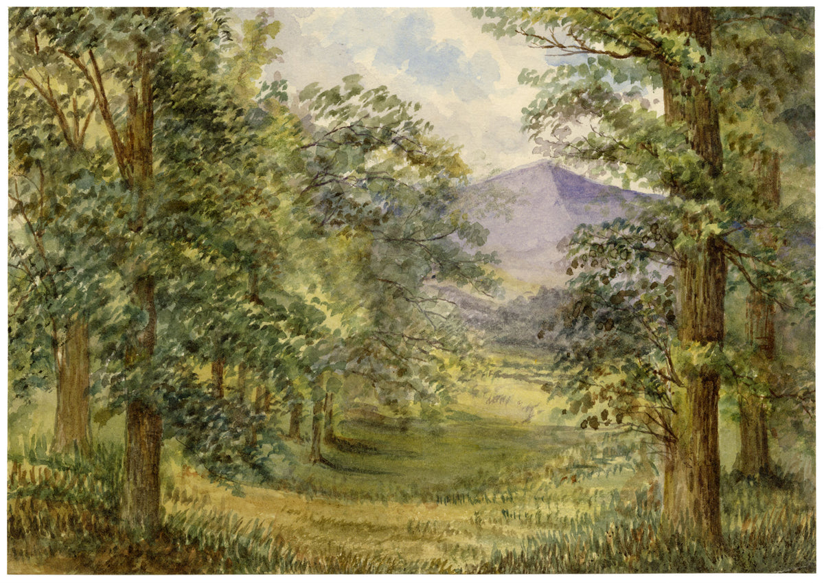 Keswick Sketching Club, Forest Glade, Lake District, Scott's Marmion – 1875 watercolour painting