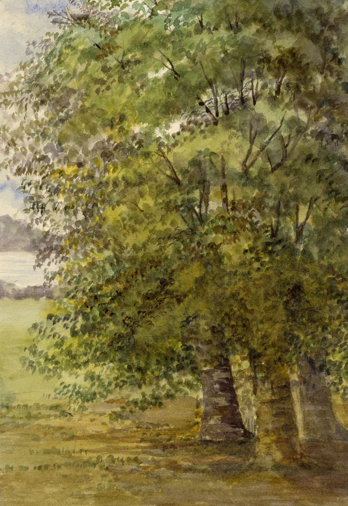 Keswick Sketching Club, Lake District Trees, Longfellow's Birds of Killingworth – 1870s watercolour painting