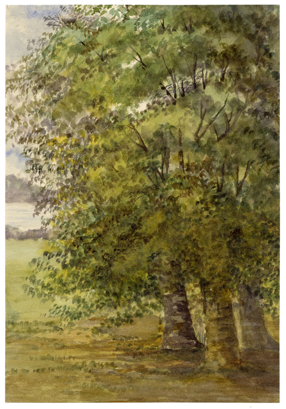 Keswick Sketching Club, Lake District Trees, Longfellow's Birds of Killingworth – 1870s watercolour painting