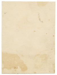 C.H., Wren Bird – c.1850s watercolour painting