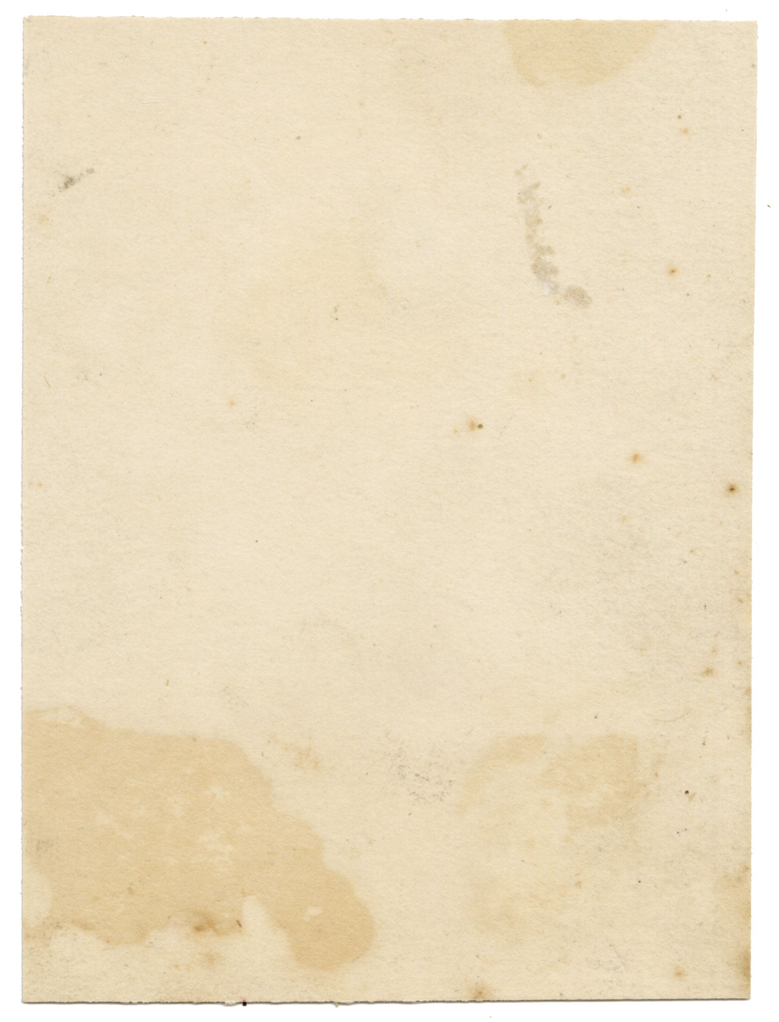 C.H., Wren Bird – c.1850s watercolour painting