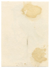 C.H., Blue Tit Bird – c.1850s watercolour painting