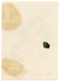C.H., Long-Tailed Tit Bird – c.1850s watercolour painting