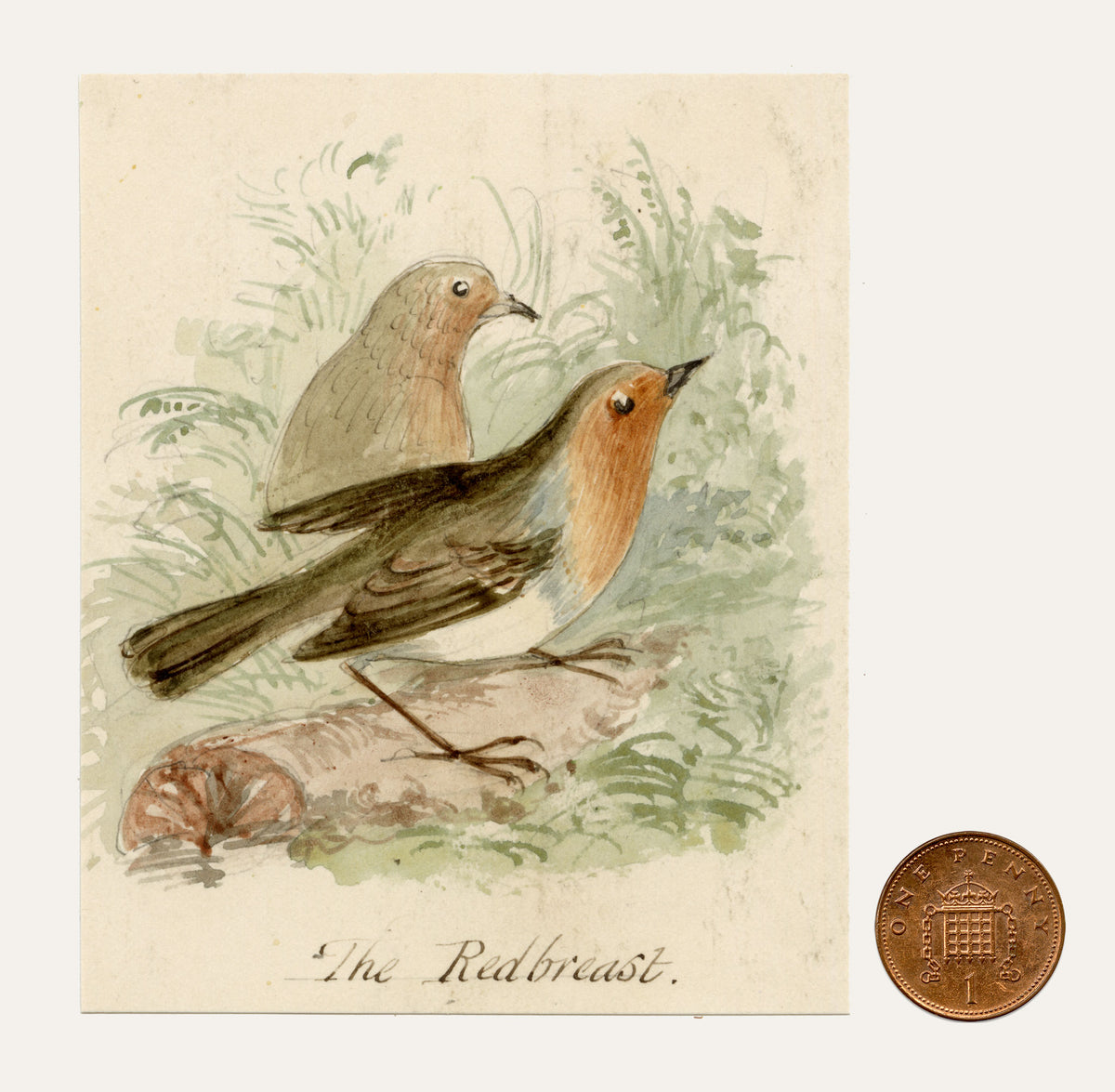C.H., Robin Redbreast Birds – c.1850s watercolour painting