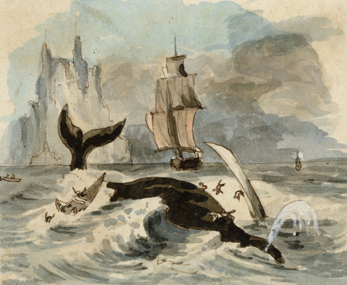 C.H., The Whale Fishery – c.1850s watercolour painting