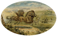 C.H., Wildebeest Stampede – c.1850s watercolour painting