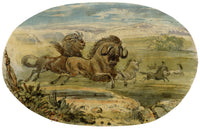 C.H., Wildebeest Stampede – c.1850s watercolour painting