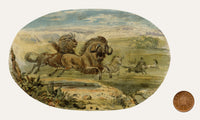 C.H., Wildebeest Stampede – c.1850s watercolour painting