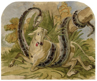 C.H., Python Snake Attacking a Cow – c.1850s watercolour painting