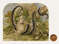 C.H., Python Snake Attacking a Cow – c.1850s watercolour painting