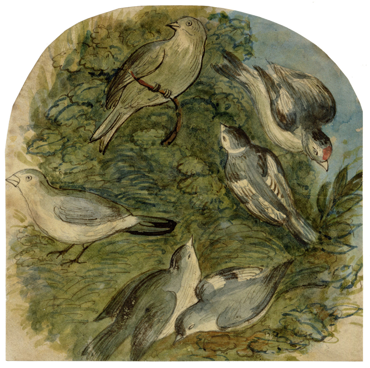 C.H., Tree Birds Finch or Bunting – c.1850s watercolour painting