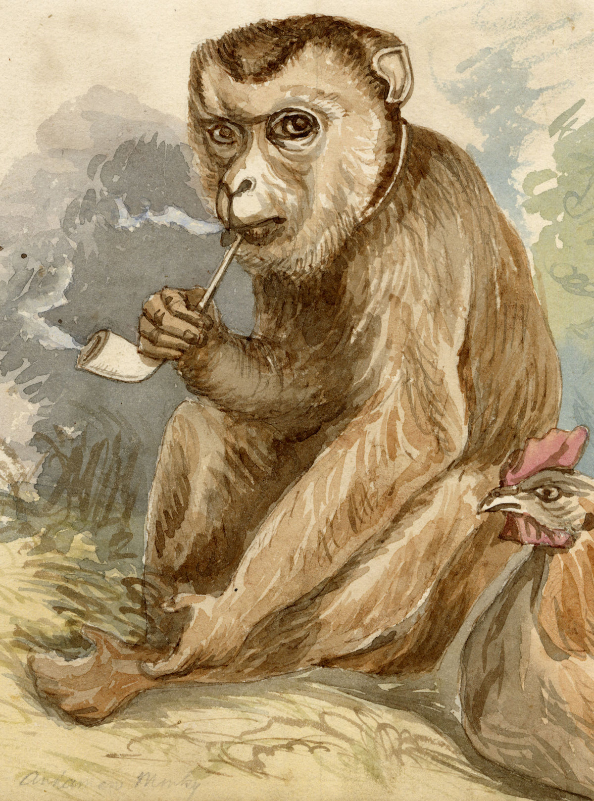 C.H., Andaman Monkey Smoking a Pipe – c.1860s watercolour painting