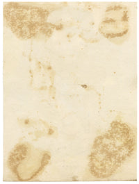 C.H., Andaman Monkey Smoking a Pipe – c.1860s watercolour painting