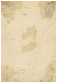 C.H., Flamingo – c.1850s watercolour painting