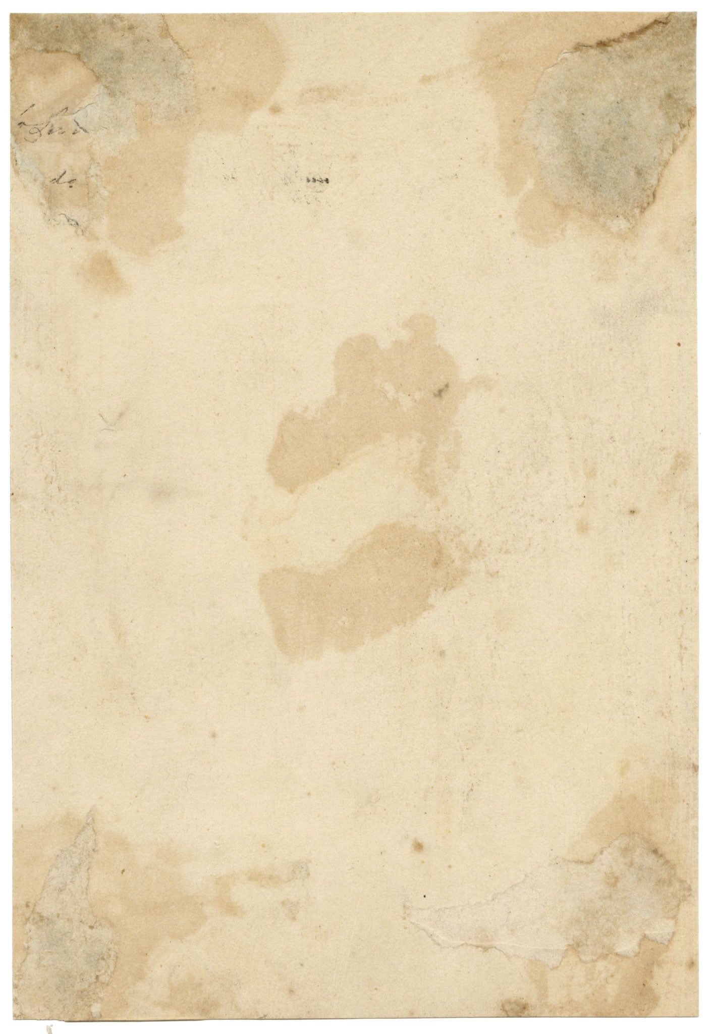 C.H., Flamingo – c.1850s watercolour painting