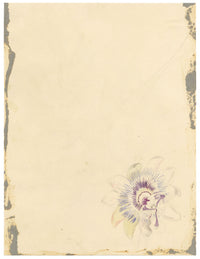 E.B.R., Strawberry Tree (Arbutus unedo) Branch with Fruit – 1835 watercolour painting