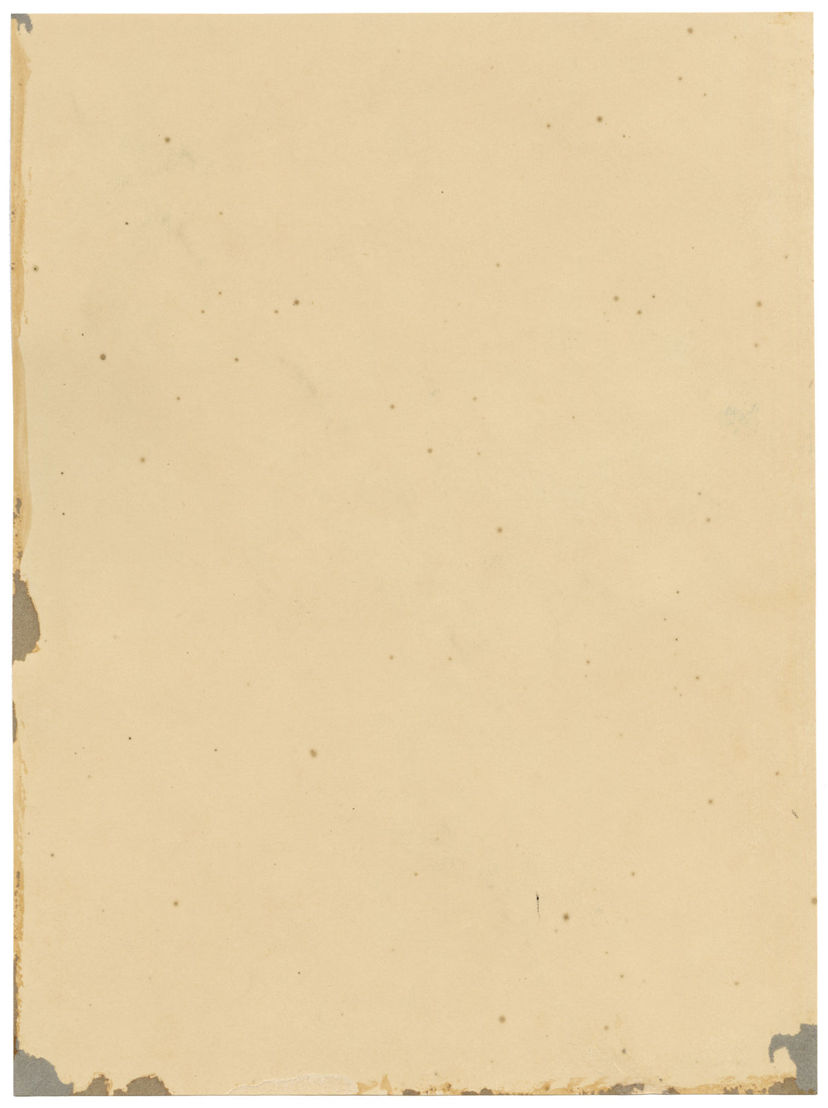 E.B.R., Honeysuckle (Lonicera) Flower – 1835 watercolour painting