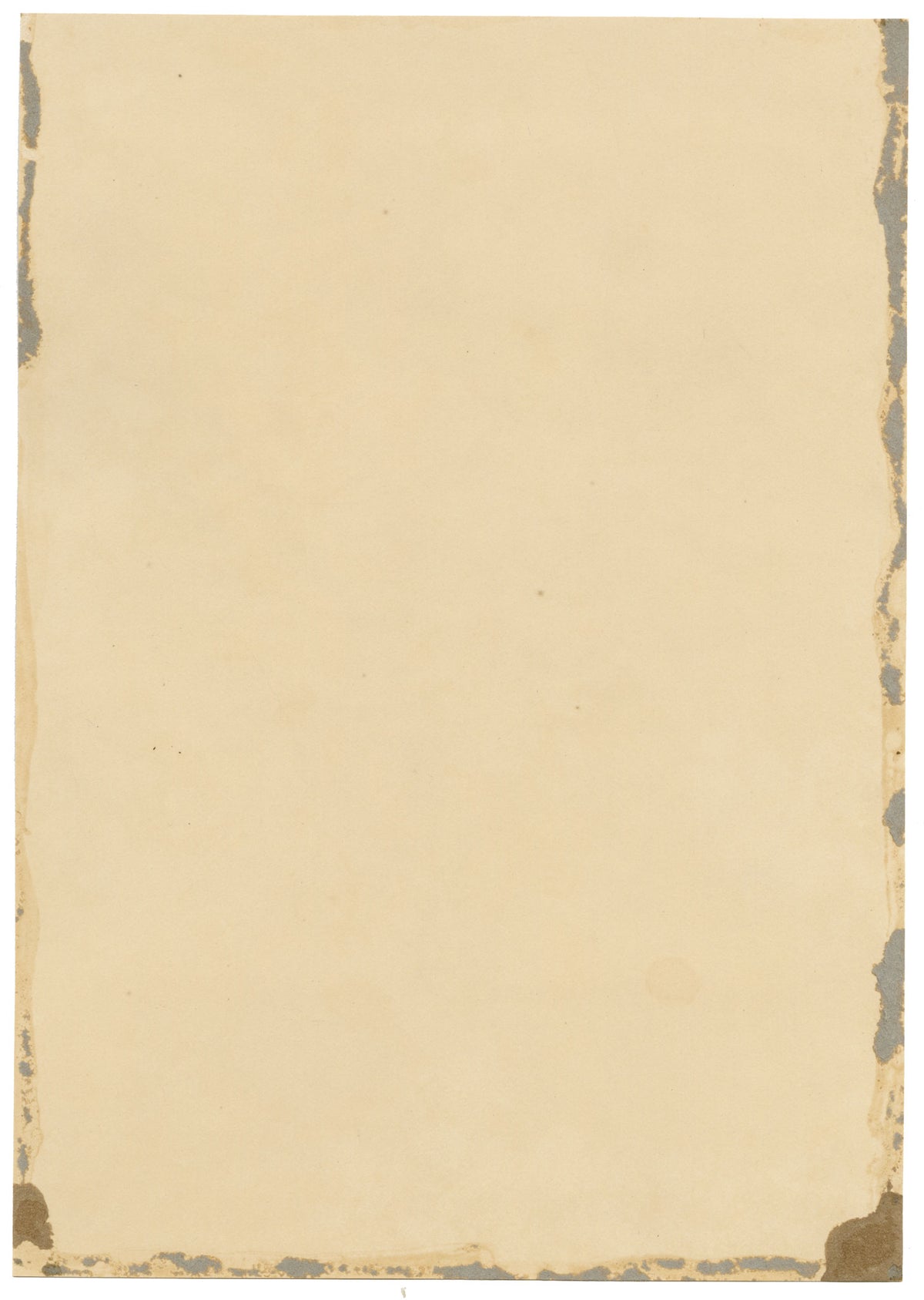 E.B.R., Apple Blossom Branch – 1834 watercolour painting