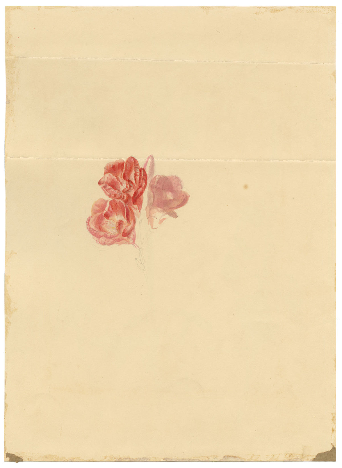 E.B.R., Black Eyed Susan Clockvine (Thunbergia alata) Flower – 1836 watercolour painting