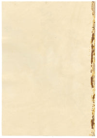 E.B.R., Delphinium (Larkspur) Flower – 1830 watercolour painting