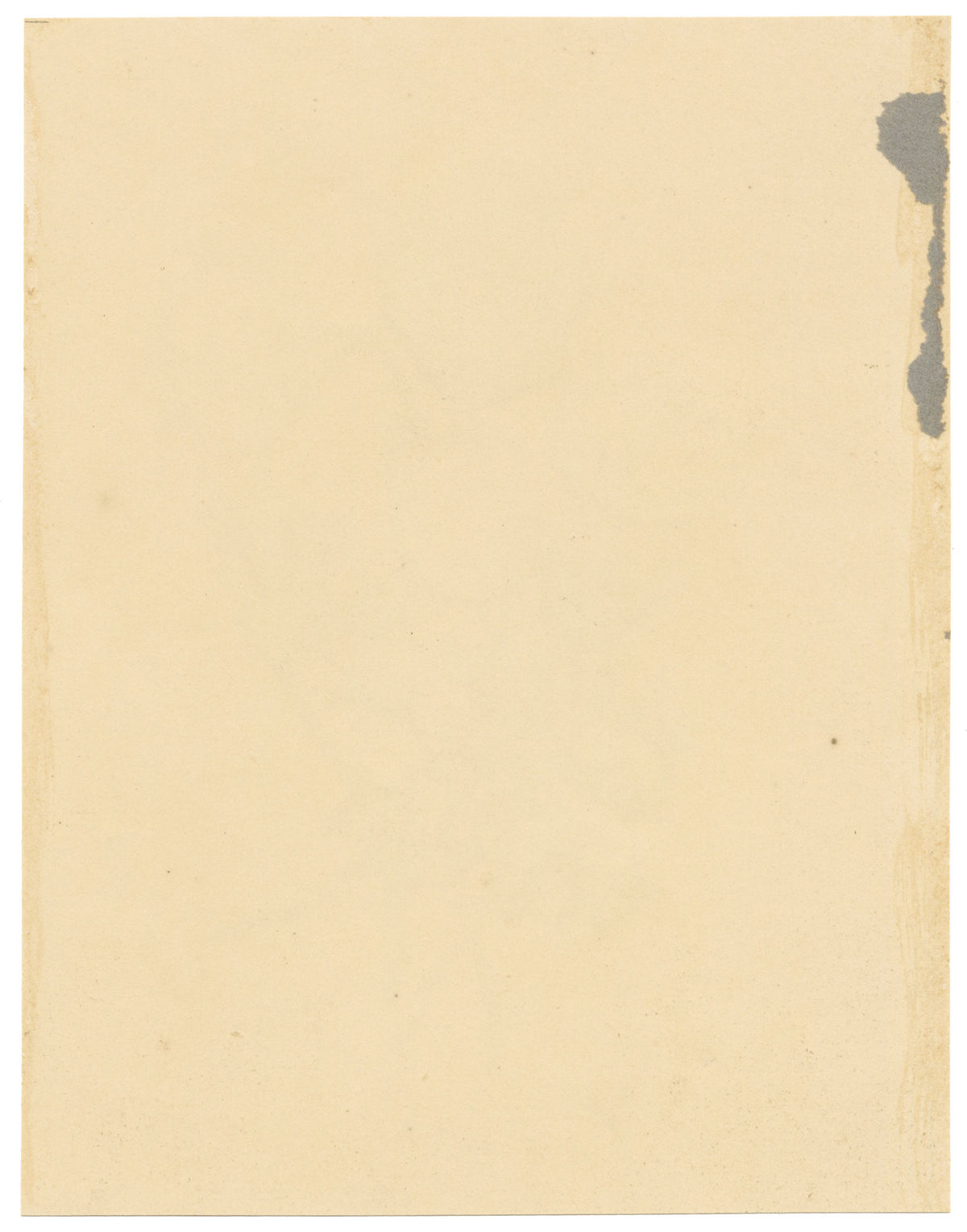 E.B.R., Poppy Anemone (Anemone coronaria) Flower – 1832 watercolour painting