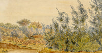 Constance Maria Stopford née Hammersley, Olive Trees & Palms on the Coast, French Riviera – Late 19th-century watercolour painting