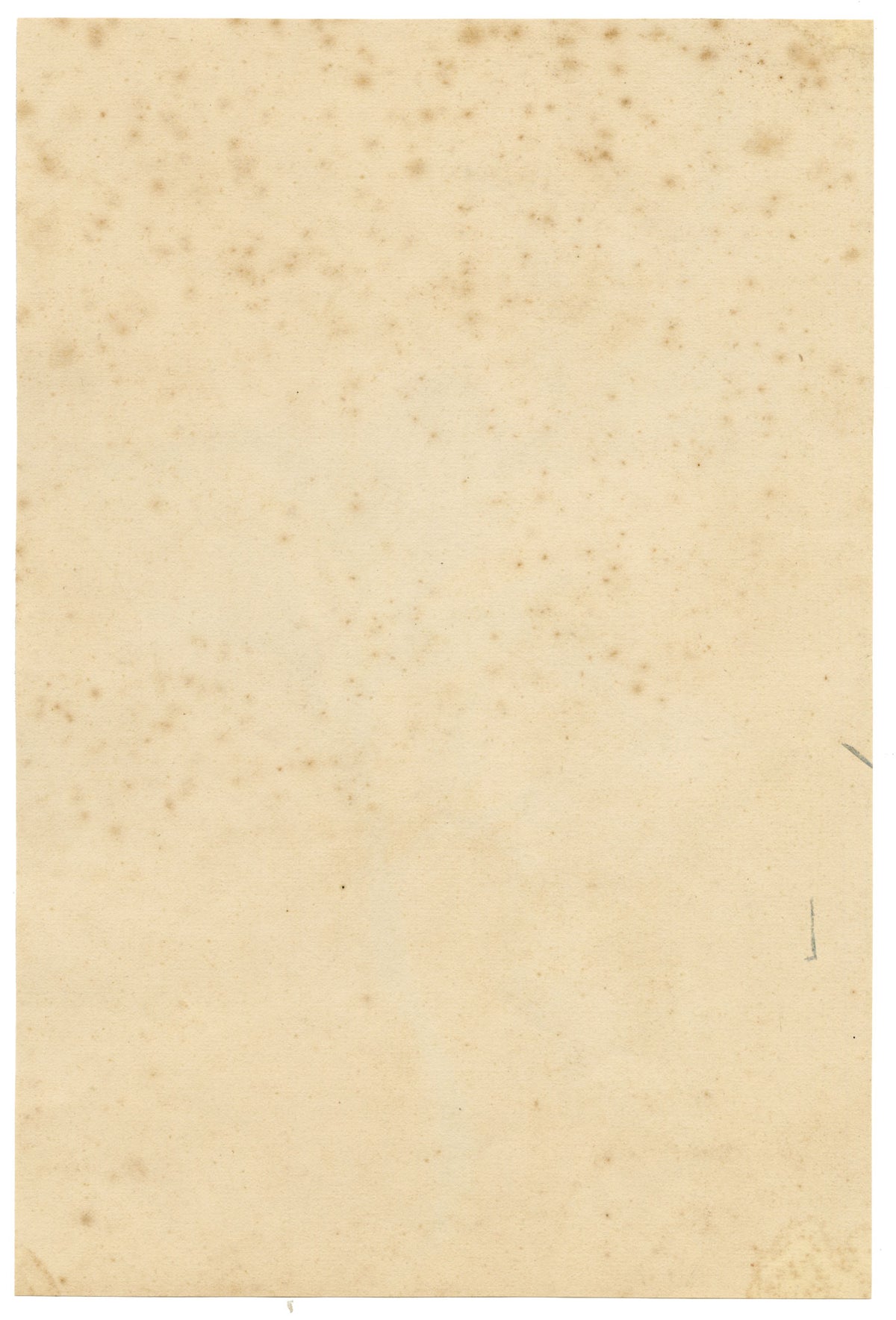 Constance Maria Stopford née Hammersley, Corsican Citron Cedrat Fruit Study, French Riviera – 1880s watercolour painting