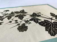 Barbara Anne Townshend, The Pencil'd Geranium Botanical Silhouette Paper Cut – c.1800
