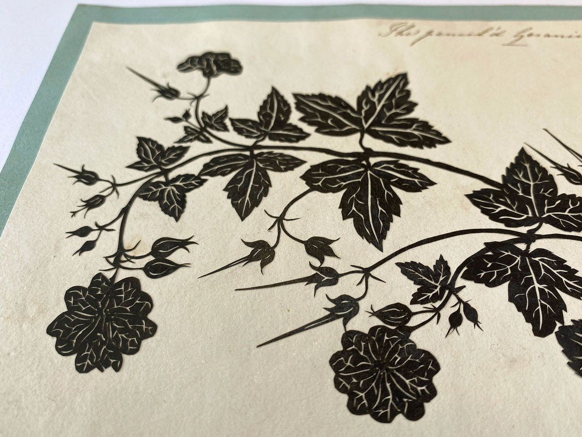 Barbara Anne Townshend, The Pencil'd Geranium Botanical Silhouette Paper Cut – c.1800