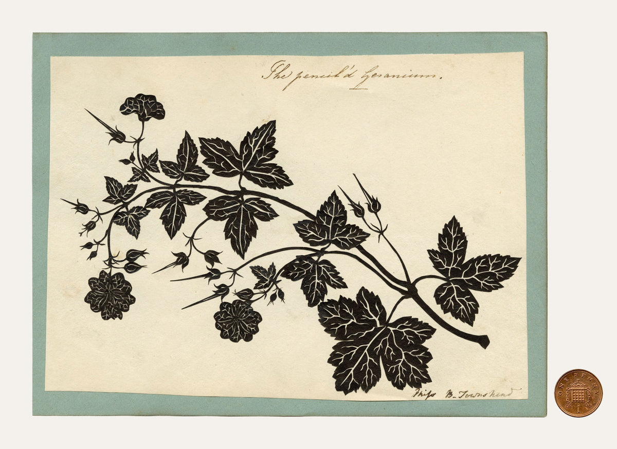 Barbara Anne Townshend, The Pencil'd Geranium Botanical Silhouette Paper Cut – c.1800