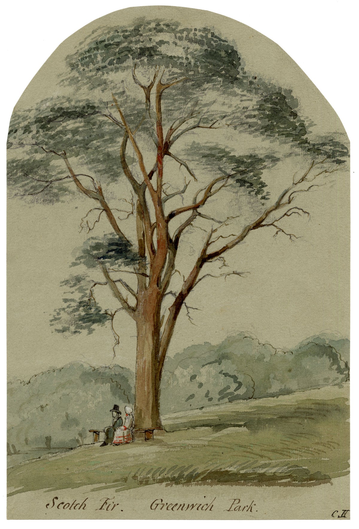 C.H., Greenwich Park Scotch Fir with Seated Couple, London – c.1850s watercolour painting