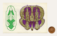 Pickford Robert Waller, Decorative Art Nouveau Design Motifs Purple with Gold – 1925 pen & ink drawing