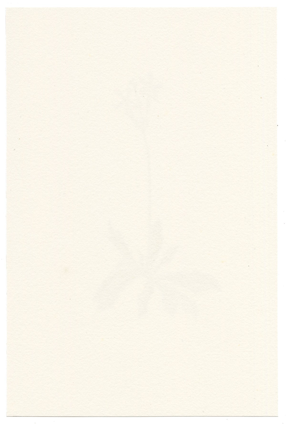 Falloon, Haller's Primrose Flower (Primula halleri) – c.1902 watercolour painting