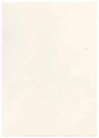 Falloon, Alpine Rose Flower (Rosa pendulina) – c.1902 watercolour painting