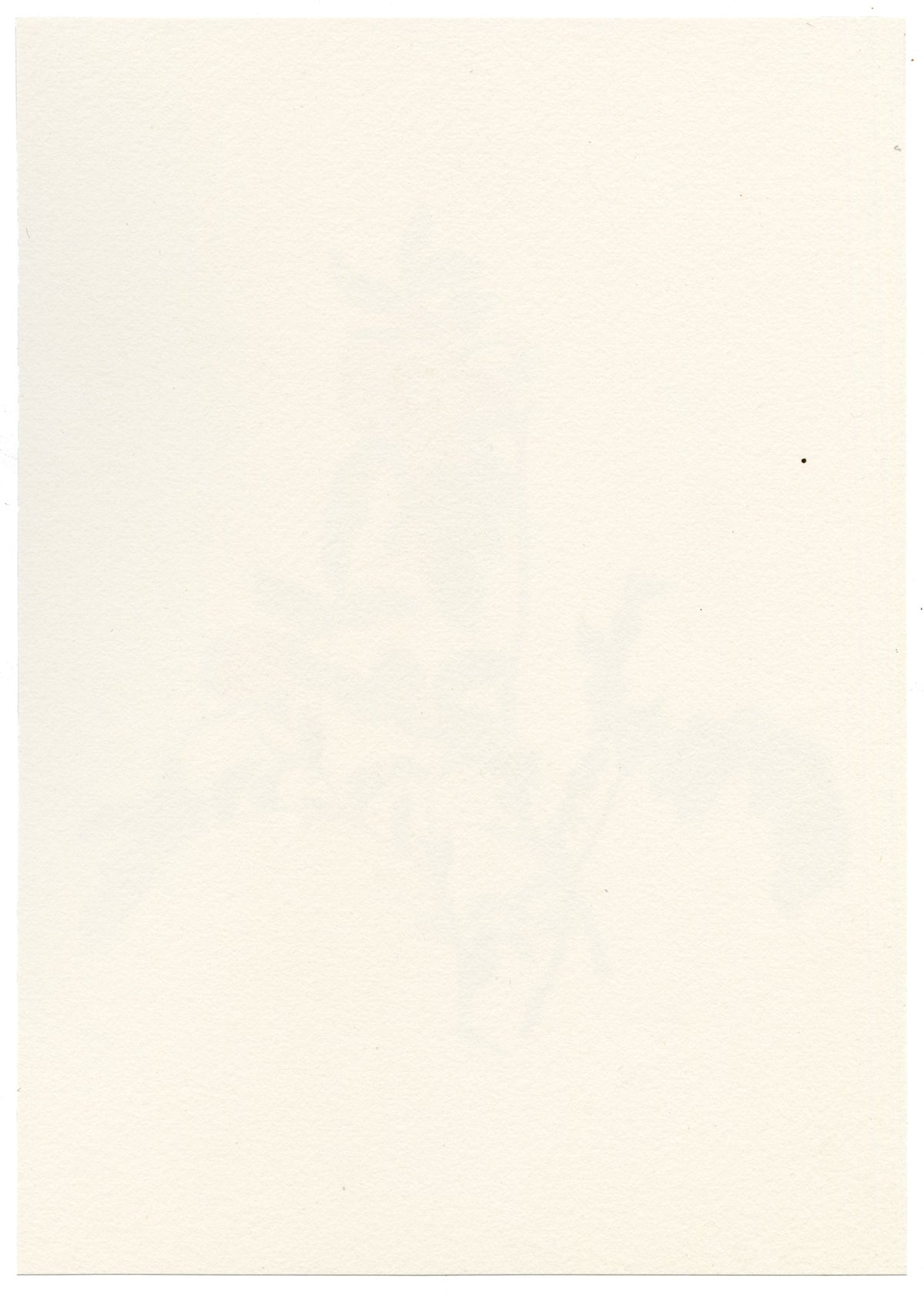 Falloon, Alpine Rose Flower (Rosa pendulina) – c.1902 watercolour painting
