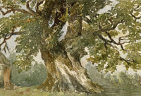 Elizabeth Middleton Powell, Oak Tree near Kenilworth, Sir Walter Scott – 1868 watercolour painting