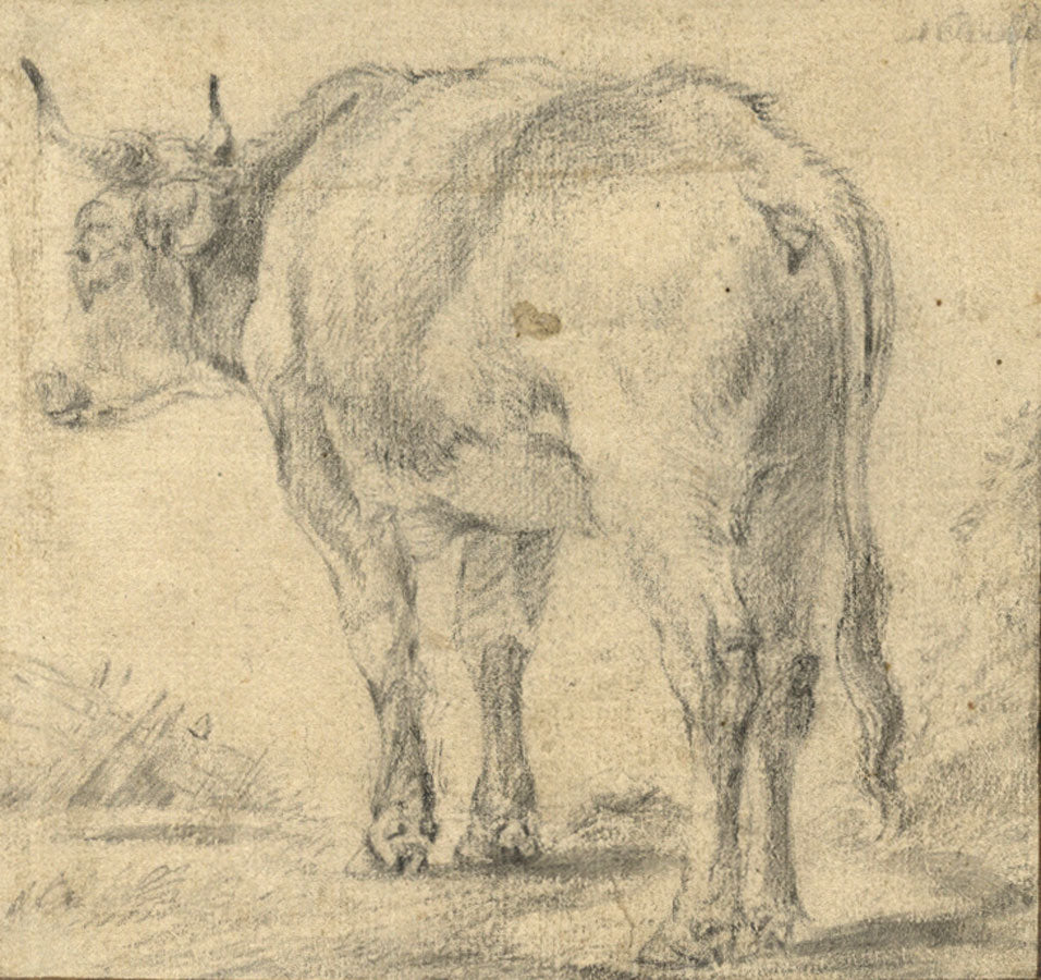 Attrib. Adriaen Van de Velde, Cow Study – 17th-century graphite drawing